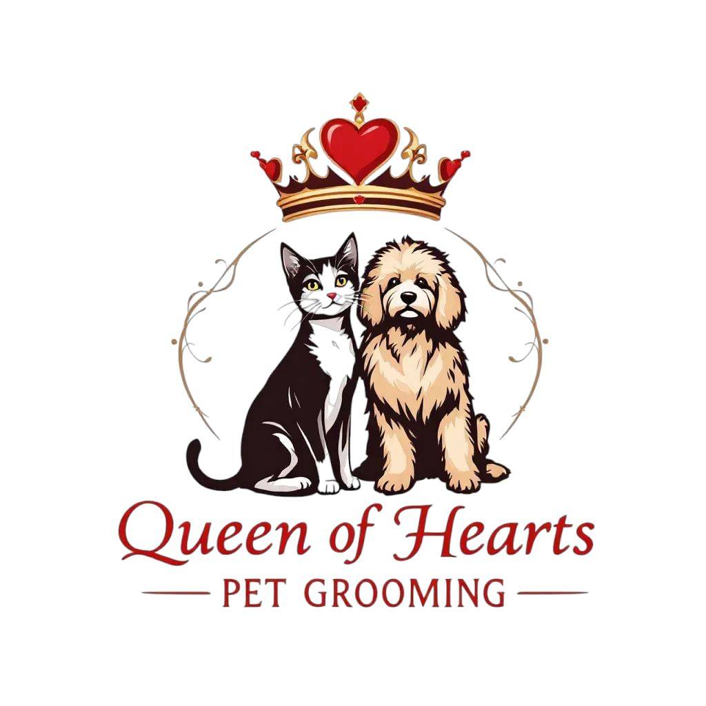 476652193_675422885048414_6250471504277032680_n